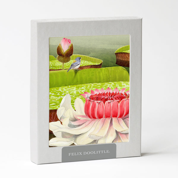 OFM36841-victoria-water-lilies