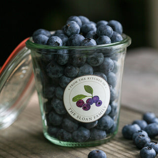 Best-Ever Blueberry Sorbet... with Vodka!