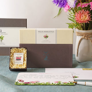 Letter Writing Collection