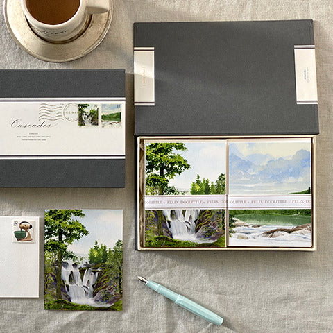 Graduation Collection