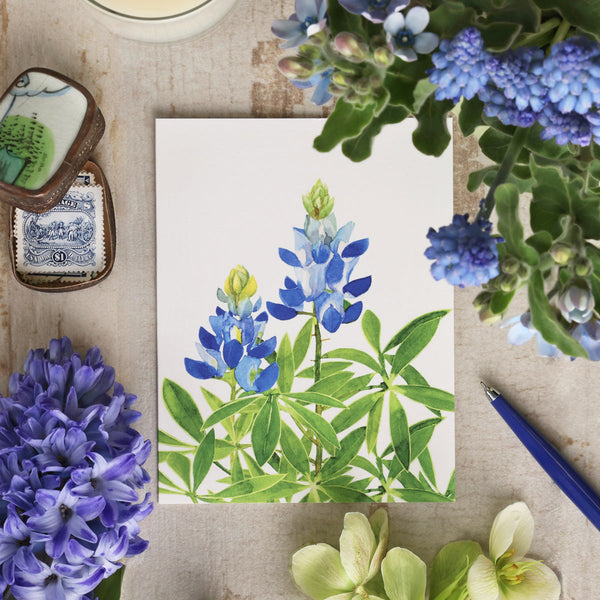 Early Spring Flowers