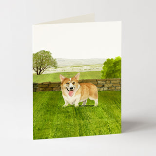 Dog Cards