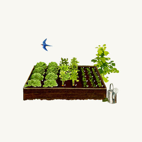 Gifts for the Gardener