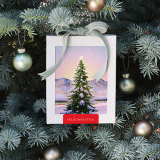 The Holiday Shop