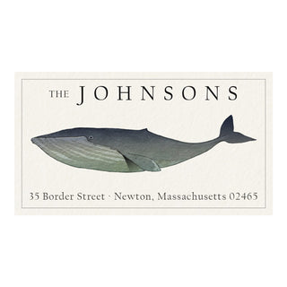 Blue Whale - Panoramic Return Address Labels