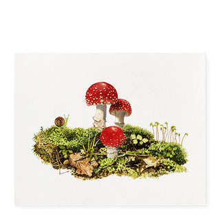 Red Cap - Art Print