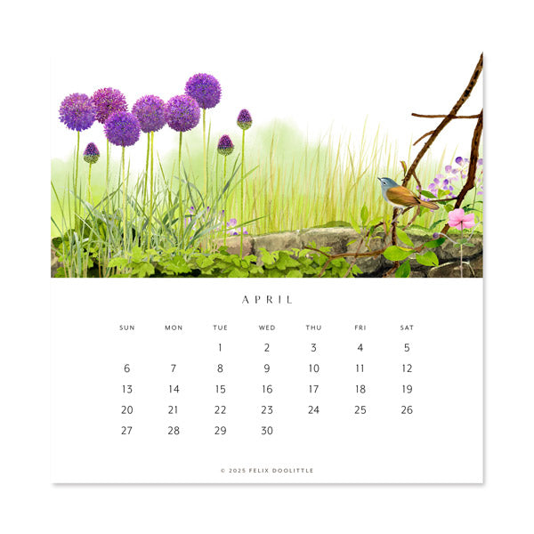 2025 Desk Calendar - Hidden Garden | Felix Doolittle 2025-desk-calendar-hidden-garden-felix-doolittle