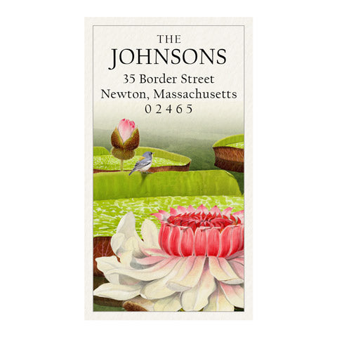 Victoria Water Lilies