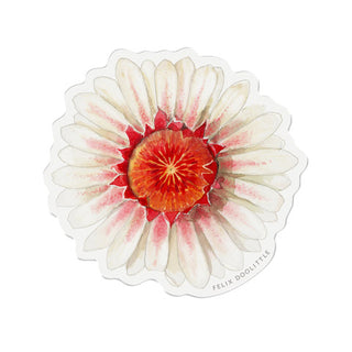 Victoria Water Lily - Vinyl Sticker
