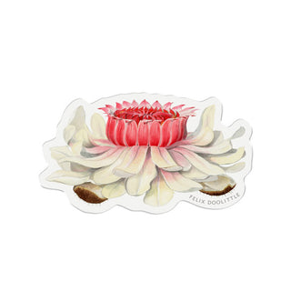 Victoria Water Lily Bloom - Vinyl Sticker