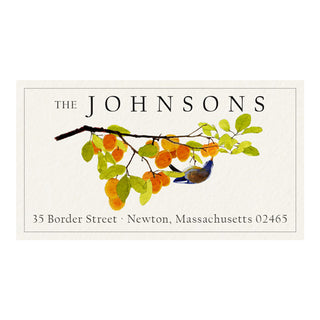 Apricot Branch - Panoramic Return Address Labels