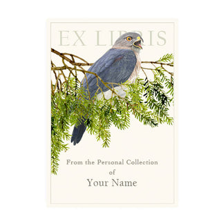 Cooper’s Hawk - Bookplates