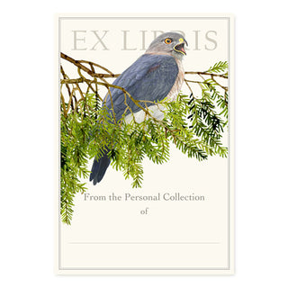 Cooper’s Hawk - Fill-in Bookplates
