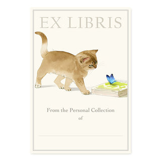 Curious Kitten - Fill-in Bookplates