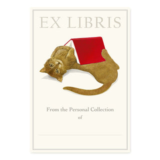 Undercover Reader - Fill-in Bookplates