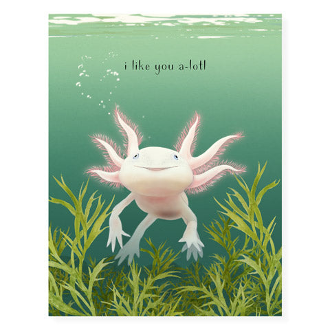 Axolotl