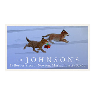 Express Delivery - Panoramic Return Address Labels