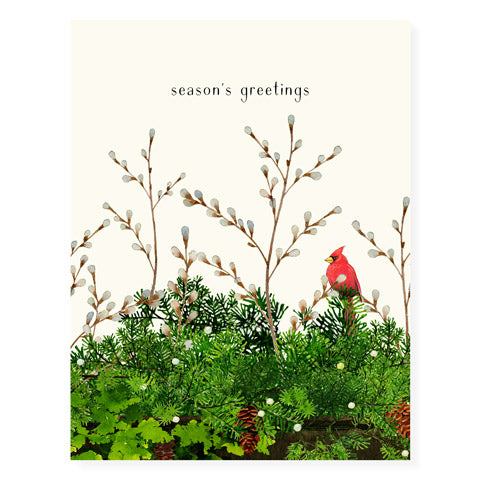 Cardinal and Evergreen