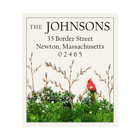 Cardinal and Evergreen