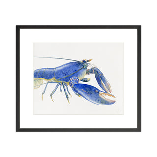 Blue Lobster - Art Print