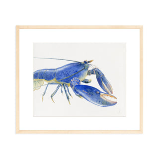 Blue Lobster - Art Print
