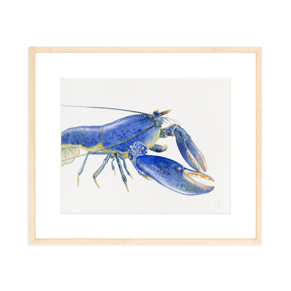 Blue Lobster