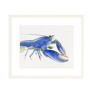 Blue Lobster - Art Print
