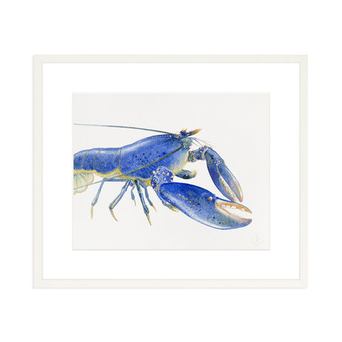 Blue Lobster