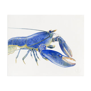 Blue Lobster - Art Print