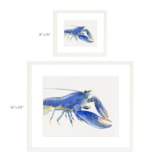 Blue Lobster - Art Print