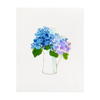 Hydrangea Pitcher - Art Print