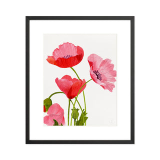 Pink Poppies - Art Print