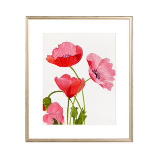 Pink Poppies - Art Print