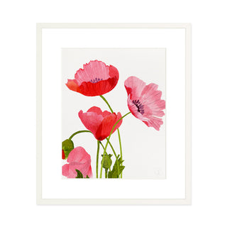 Pink Poppies - Art Print