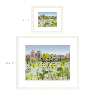 Boston Public Garden - Art Print