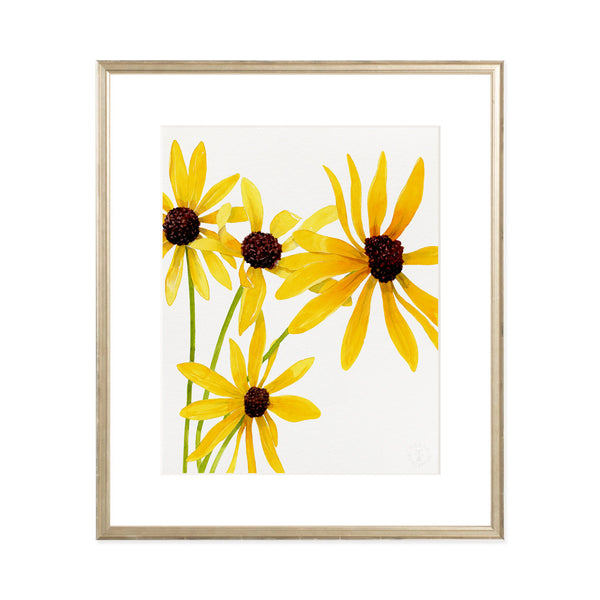 Black Eyed Susan