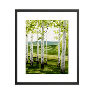 Birch Forest - Art Print