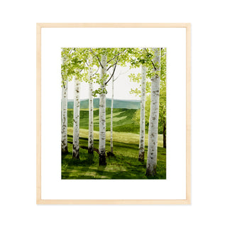 Birch Forest - Art Print