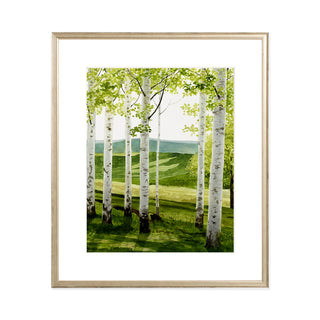 Birch Forest - Art Print