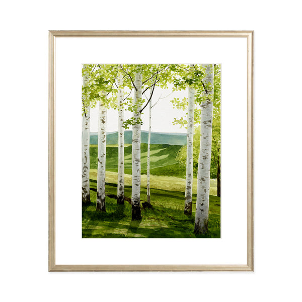Birch Forest