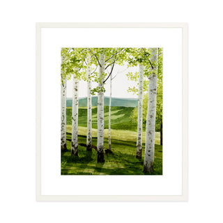Birch Forest - Art Print