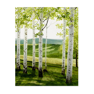 Birch Forest - Art Print