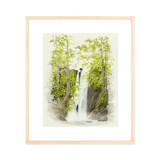 Falls - Art Print