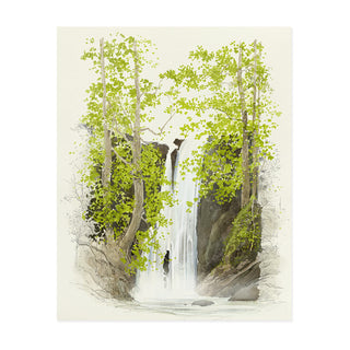Falls - Art Print