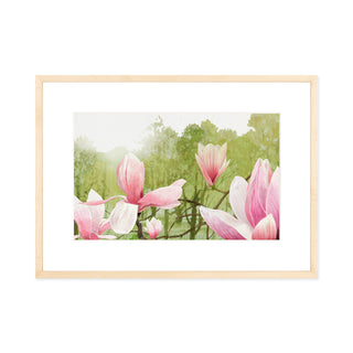 Magnolia Tree - Art Print