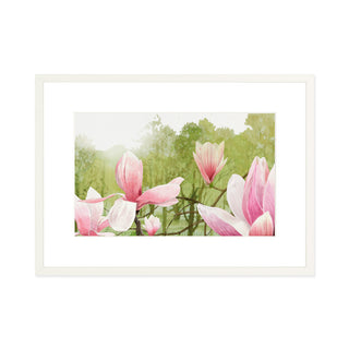 Magnolia Tree - Art Print