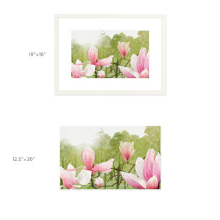 Magnolia Tree - Art Print