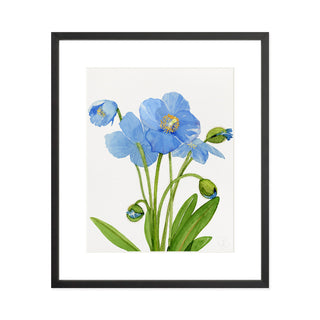 Blue Poppies - Art Print