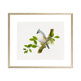 Titmouse Songbird - Art Print
