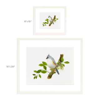 Titmouse Songbird - Art Print